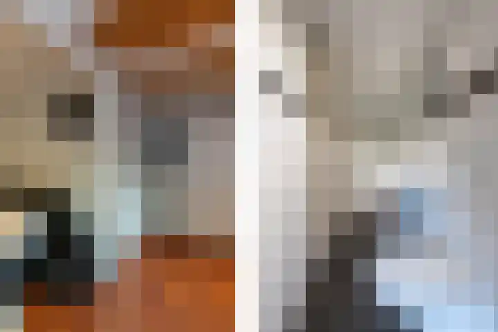 Nieuwe Veer 114 Streefkerk thumbnail 69