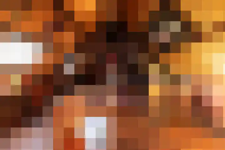 Nieuwe Veer 114 Streefkerk thumbnail 70