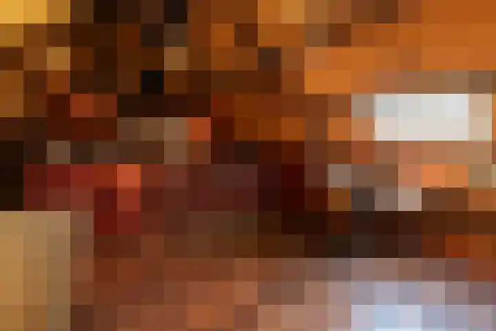 Nieuwe Veer 114 Streefkerk thumbnail 72