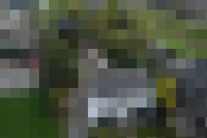 Nieuwe Veer 114 Streefkerk thumbnail 73