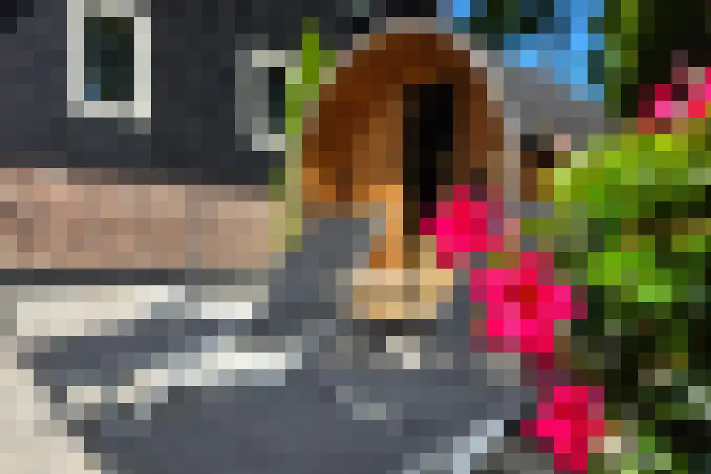 Nieuwe Veer 37 Streefkerk thumbnail 10