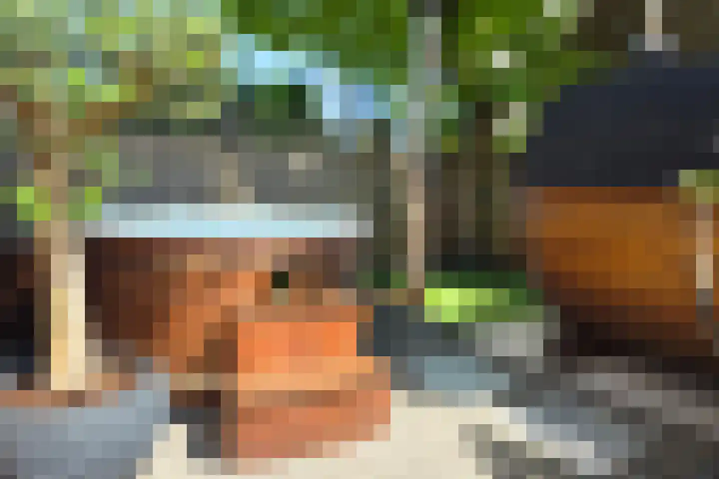 Nieuwe Veer 37 Streefkerk thumbnail 11