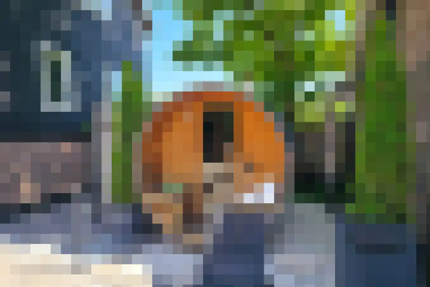 Nieuwe Veer 37 Streefkerk thumbnail 12