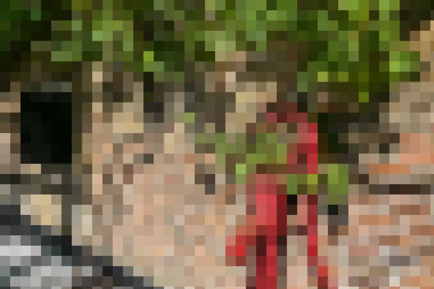 Nieuwe Veer 37 Streefkerk thumbnail 17