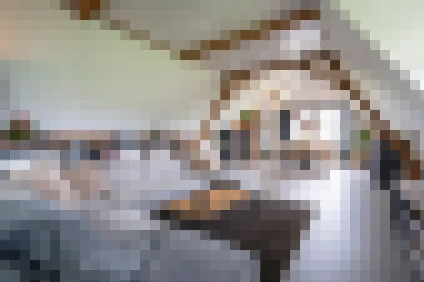 Nieuwe Veer 37 Streefkerk thumbnail 19