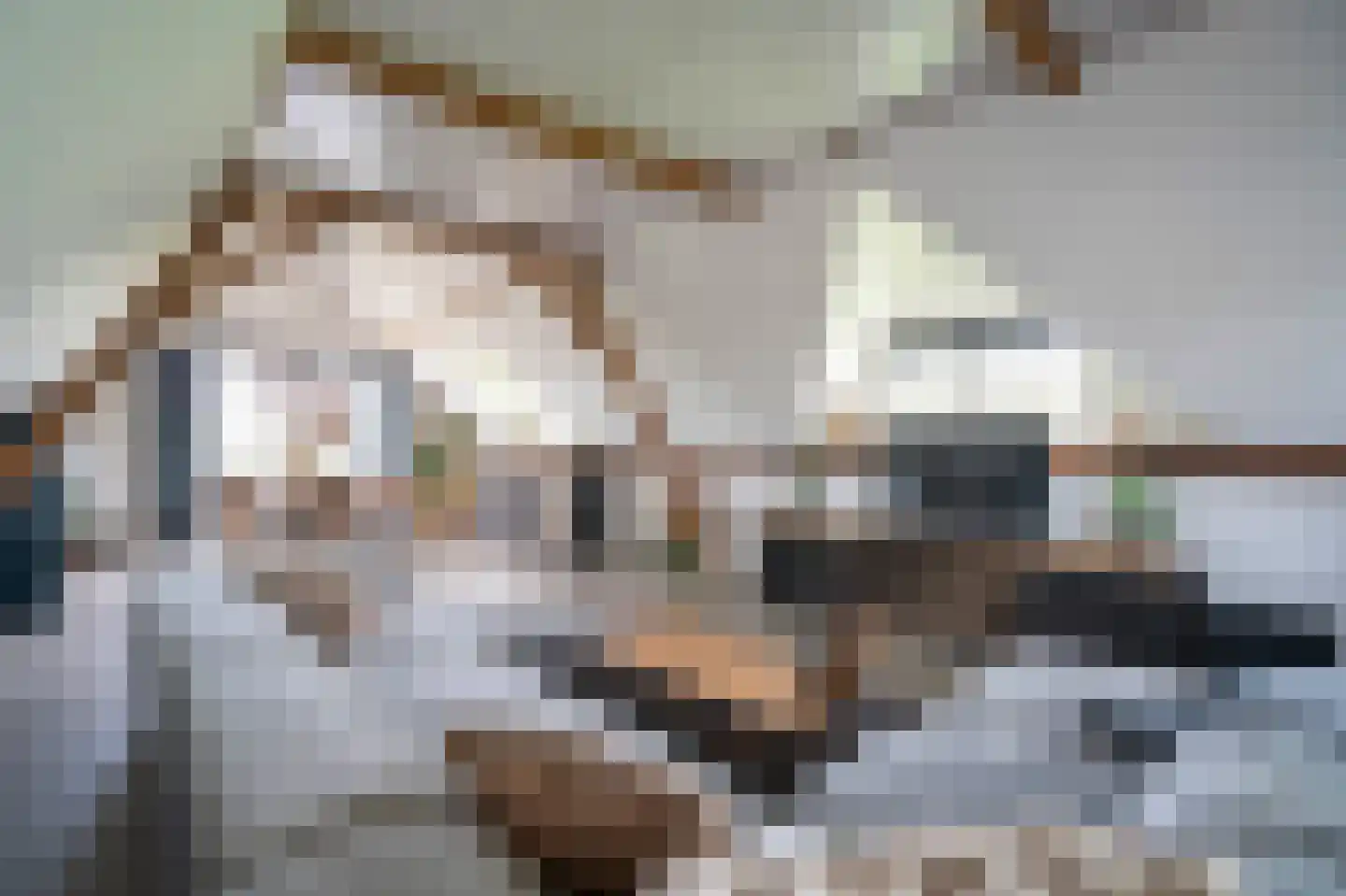 Nieuwe Veer 37 Streefkerk thumbnail 20