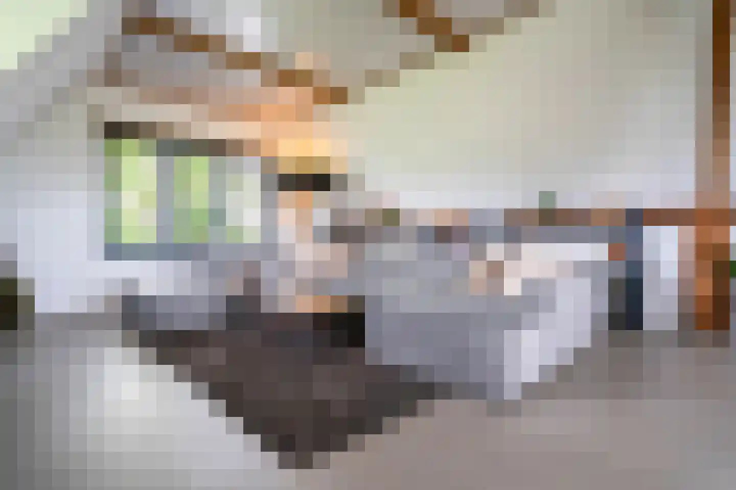 Nieuwe Veer 37 Streefkerk thumbnail 21