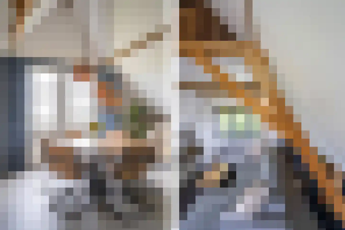 Nieuwe Veer 37 Streefkerk thumbnail 22