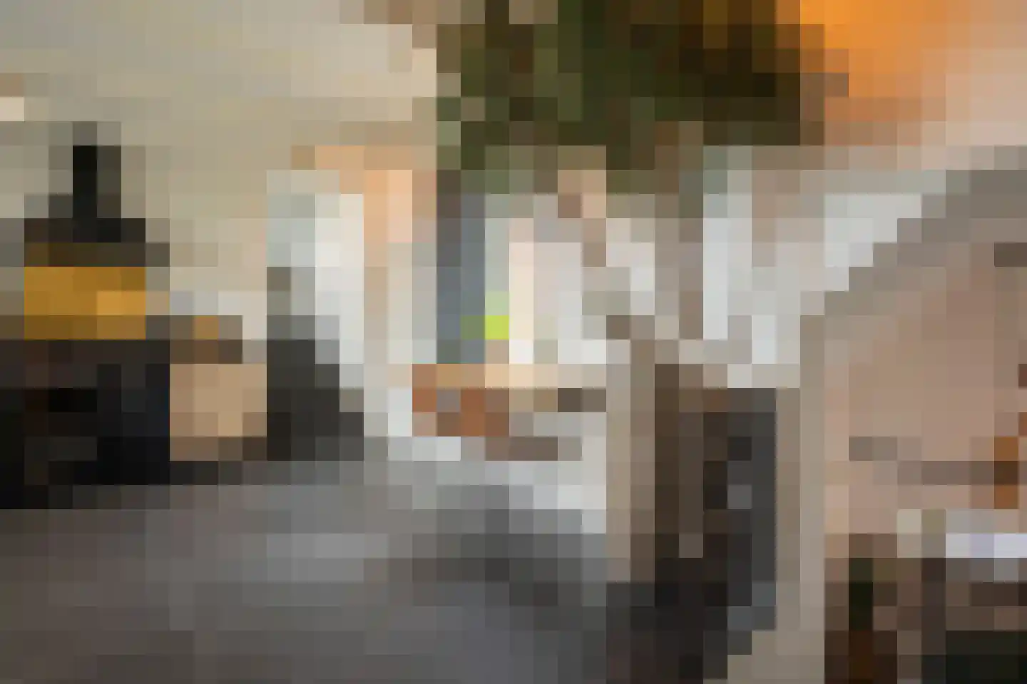 Nieuwe Veer 37 Streefkerk thumbnail 24