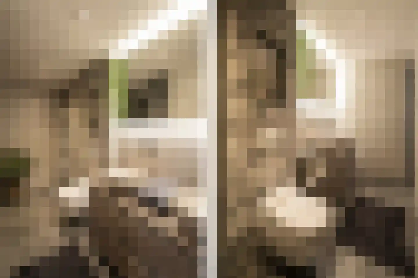 Nieuwe Veer 37 Streefkerk thumbnail 38