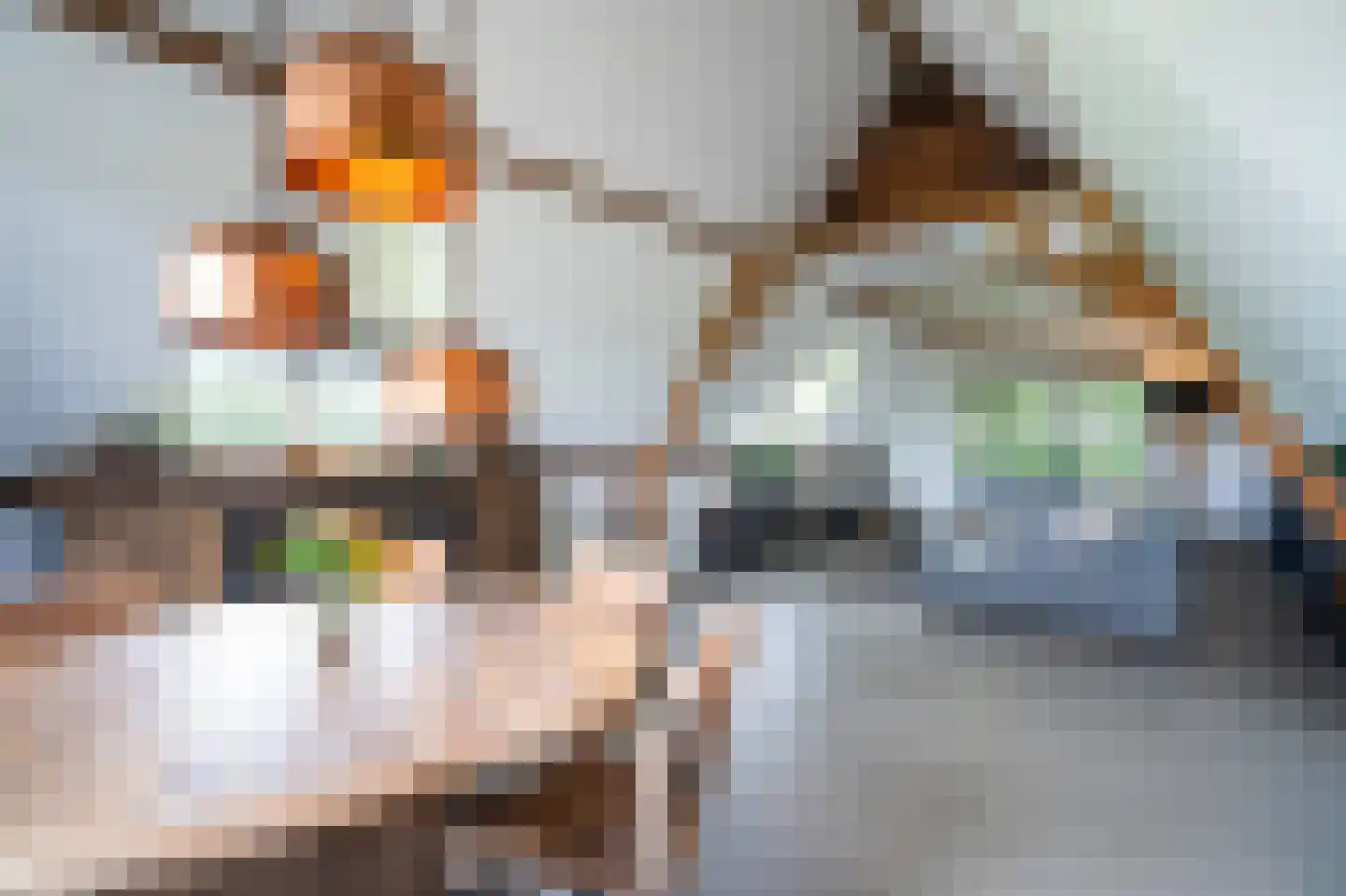 Nieuwe Veer 37 Streefkerk thumbnail 4