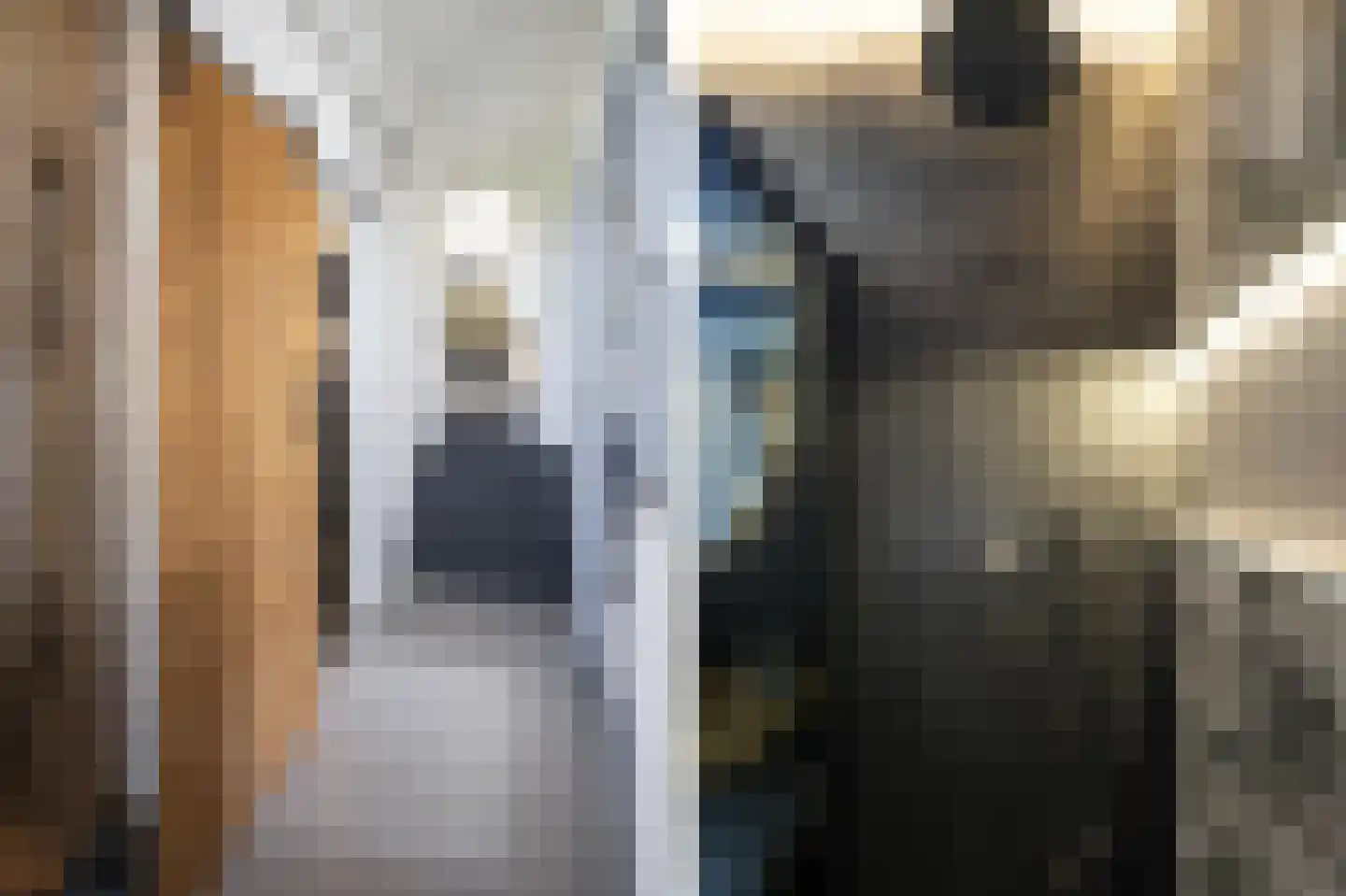 Nieuwe Veer 37 Streefkerk thumbnail 40