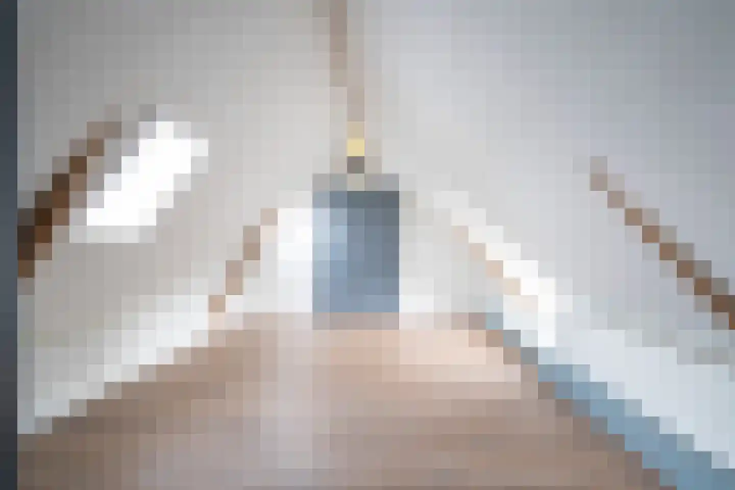 Nieuwe Veer 37 Streefkerk thumbnail 44