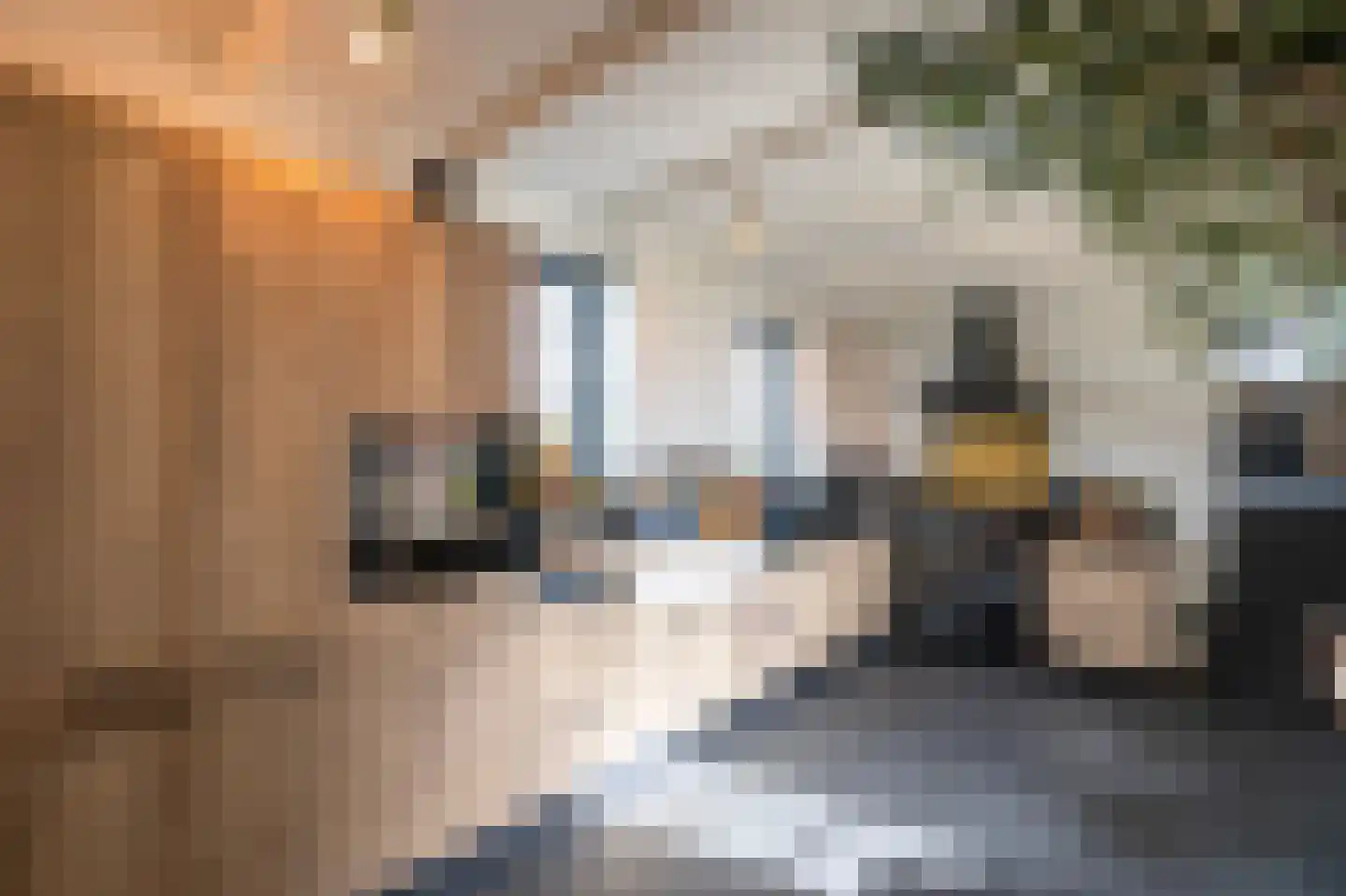 Nieuwe Veer 37 Streefkerk thumbnail 5