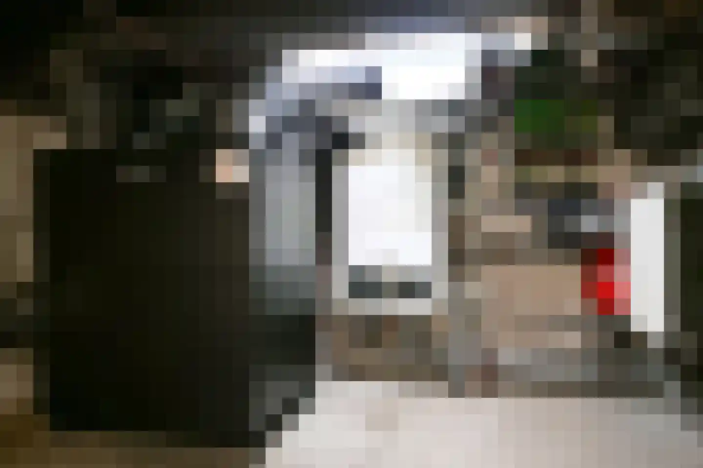 Nieuwe Veer 37 Streefkerk thumbnail 54