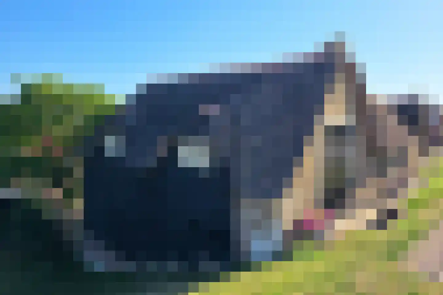 Nieuwe Veer 37 Streefkerk thumbnail 58