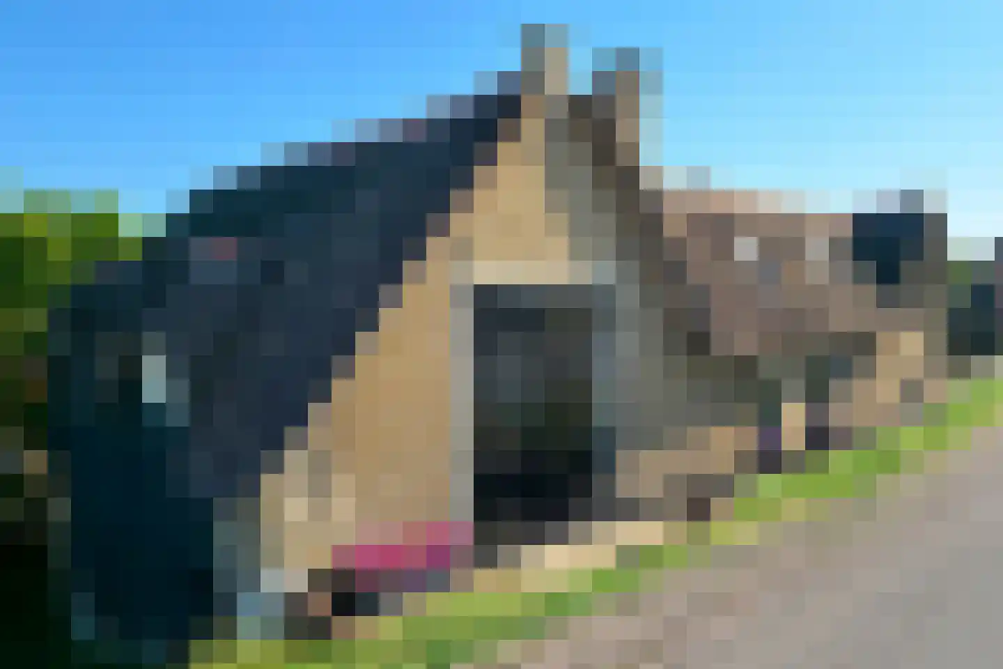 Nieuwe Veer 37 Streefkerk thumbnail 6