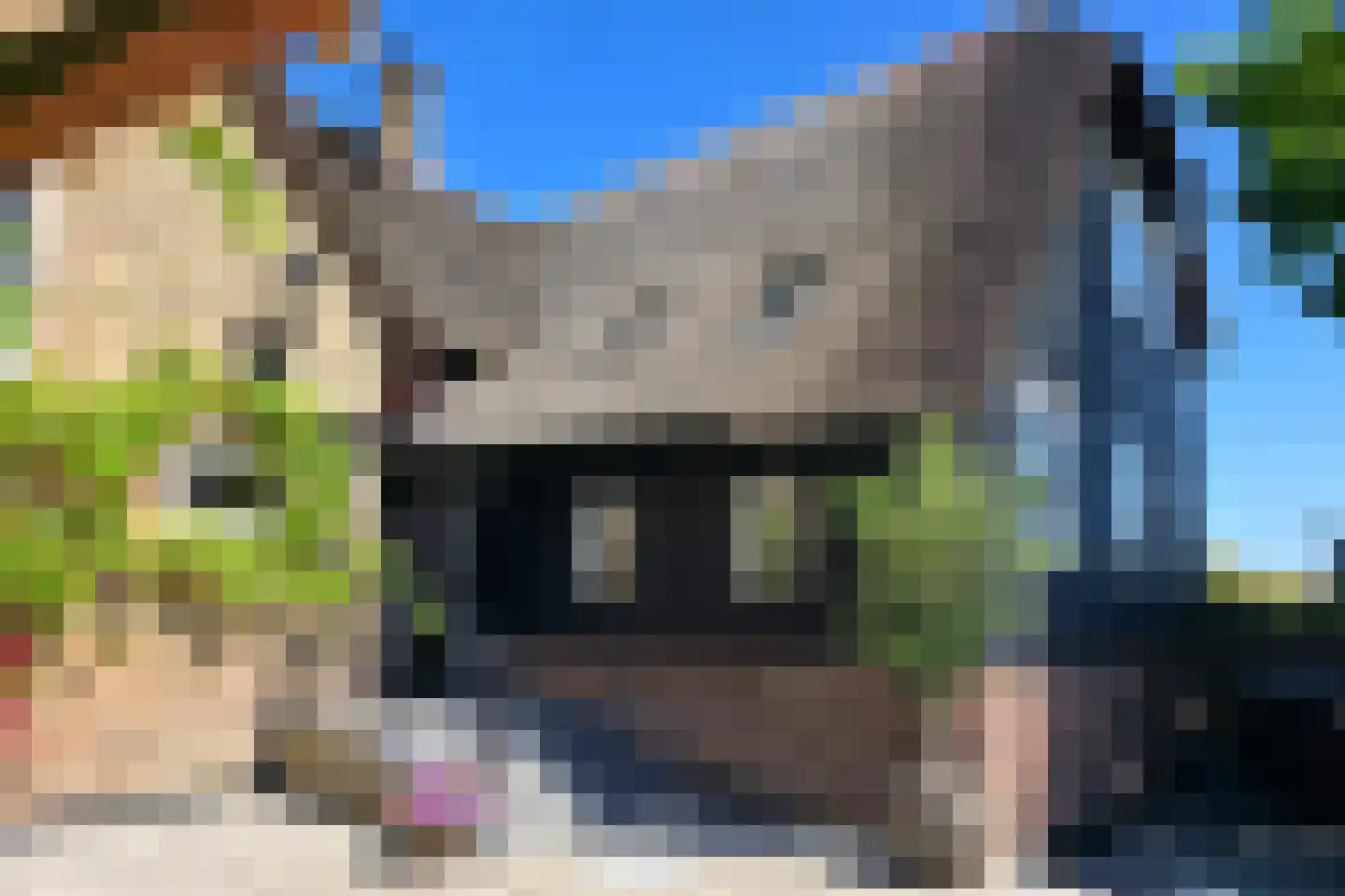Nieuwe Veer 37 Streefkerk thumbnail 9