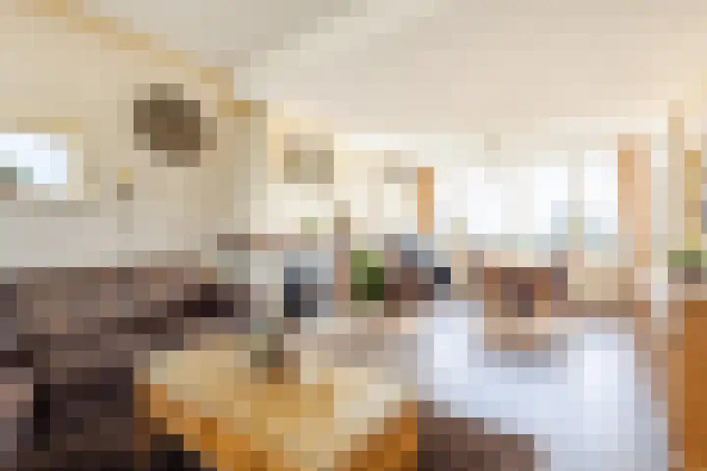 Nieuwe Veer 41 Streefkerk thumbnail 10