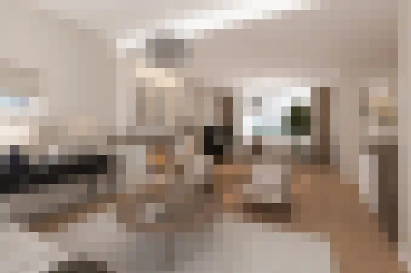 Nieuwe Veer 41 Streefkerk thumbnail 11