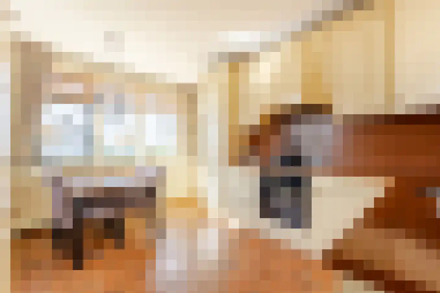 Nieuwe Veer 41 Streefkerk thumbnail 13