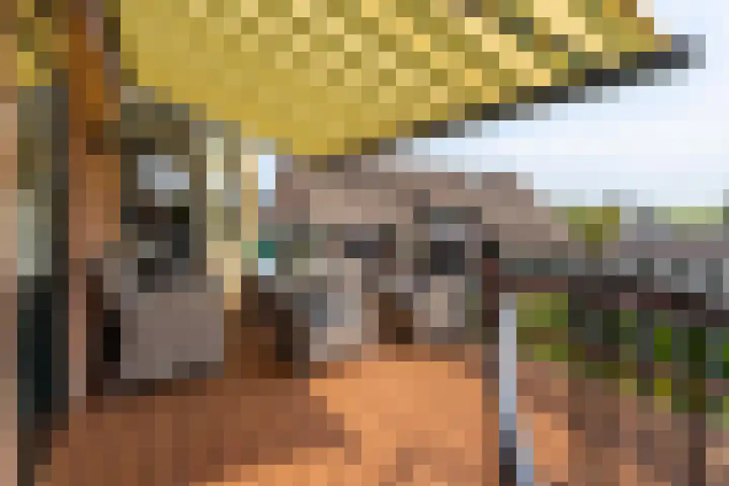 Nieuwe Veer 41 Streefkerk thumbnail 16