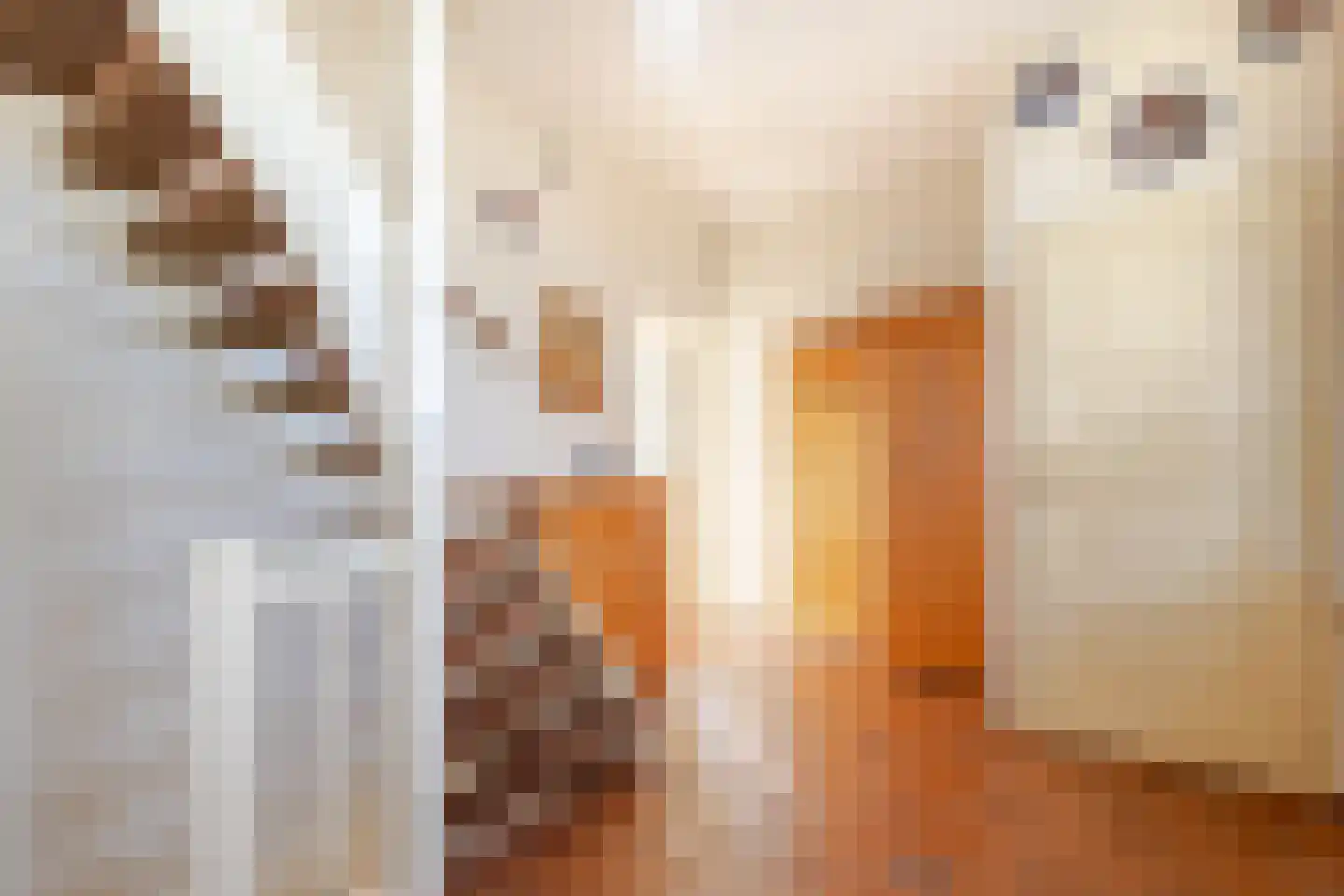 Nieuwe Veer 41 Streefkerk thumbnail 18