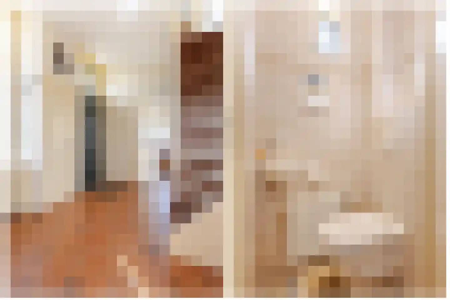 Nieuwe Veer 41 Streefkerk thumbnail 19