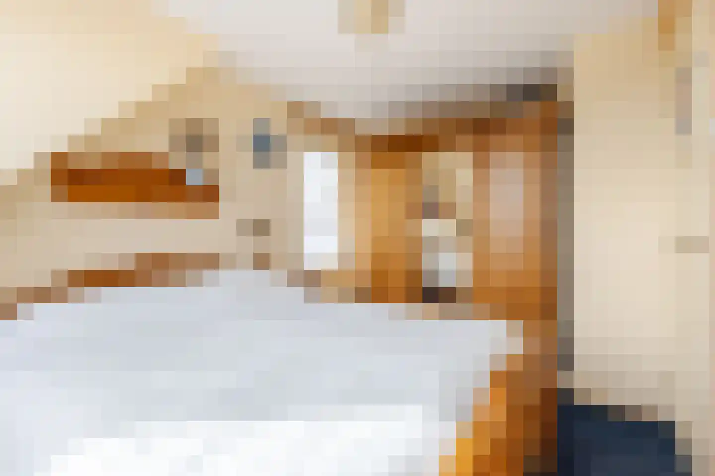 Nieuwe Veer 41 Streefkerk thumbnail 21