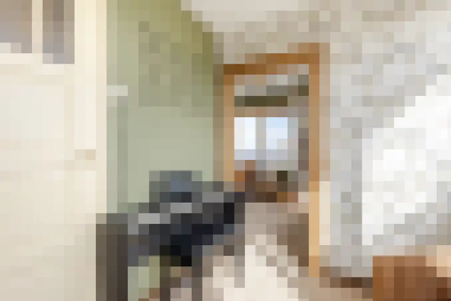 Nieuwe Veer 41 Streefkerk thumbnail 26