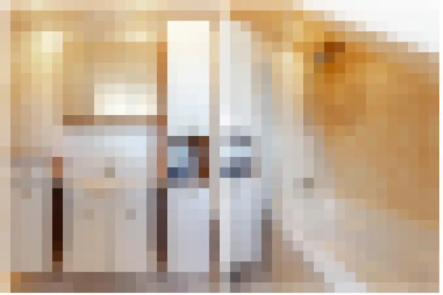 Nieuwe Veer 41 Streefkerk thumbnail 29