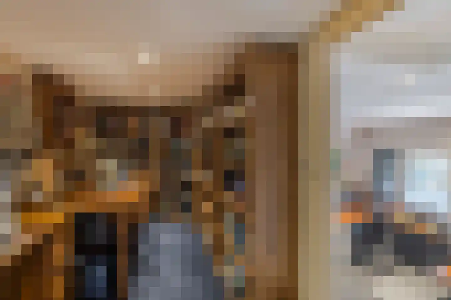 Nieuwe Veer 41 Streefkerk thumbnail 30