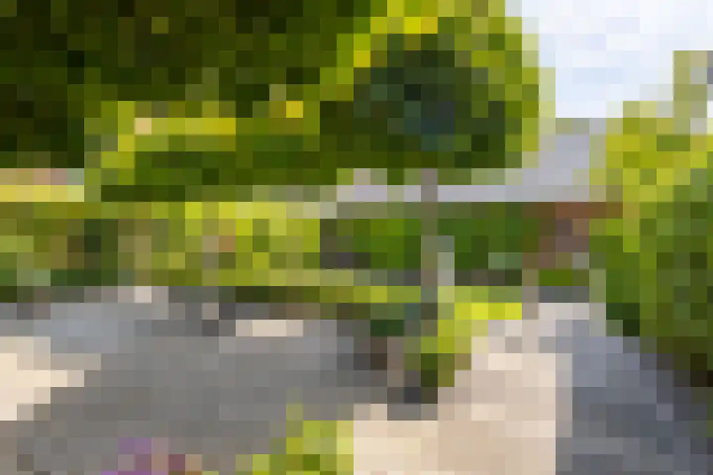 Nieuwe Veer 41 Streefkerk thumbnail 36