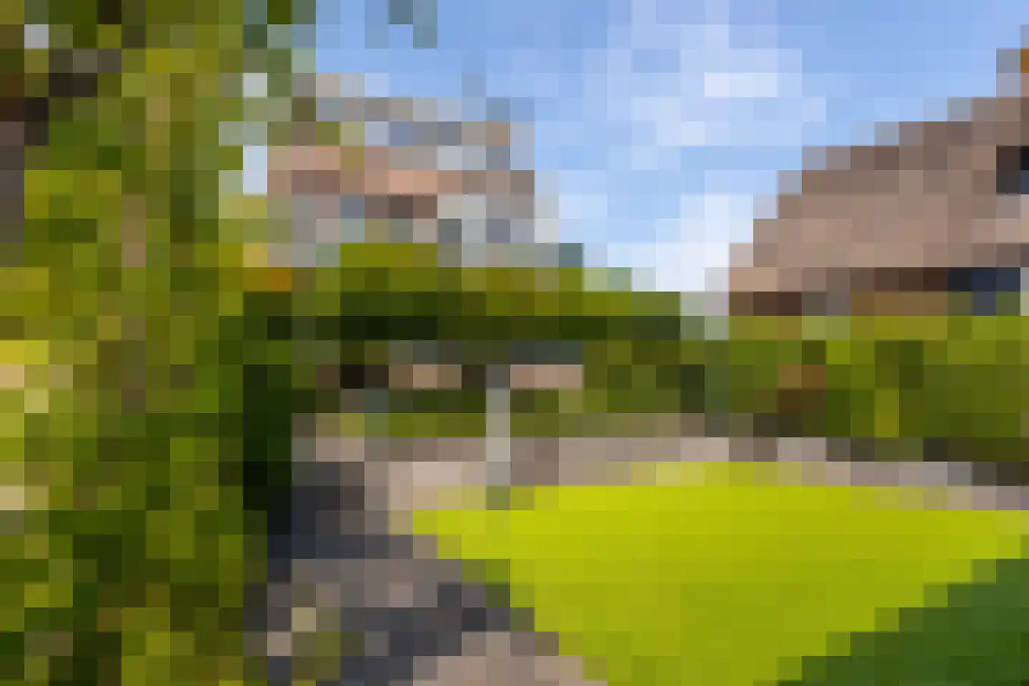 Nieuwe Veer 41 Streefkerk thumbnail 37