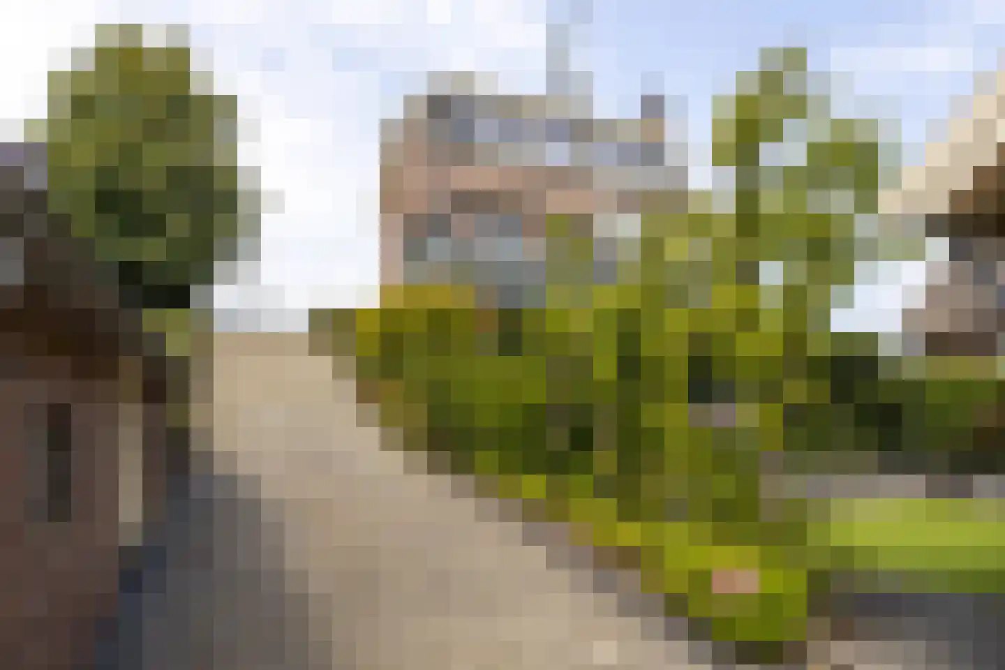 Nieuwe Veer 41 Streefkerk thumbnail 39