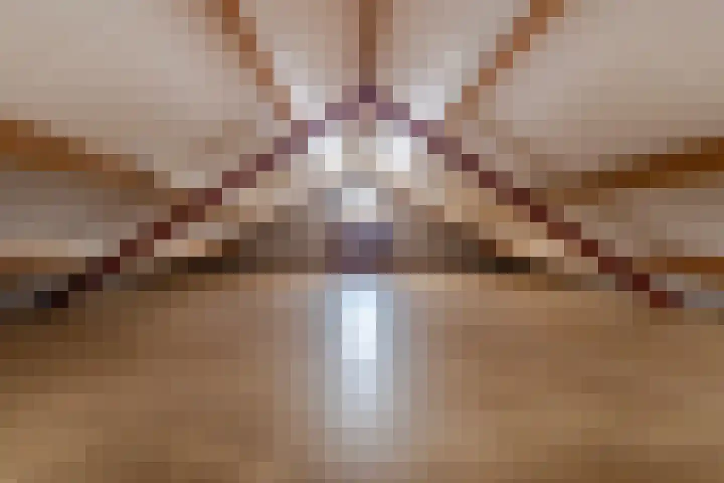 Nieuwe Veer 41 Streefkerk thumbnail 42