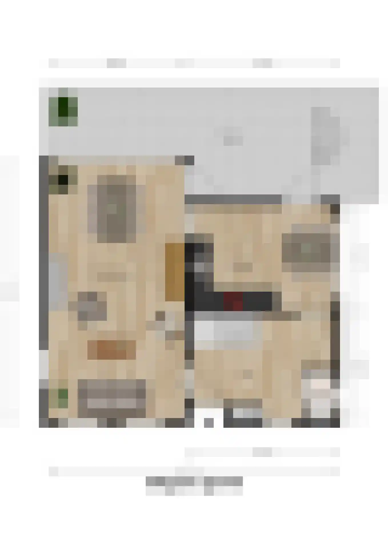 Nieuwe Veer 41 Streefkerk thumbnail 42