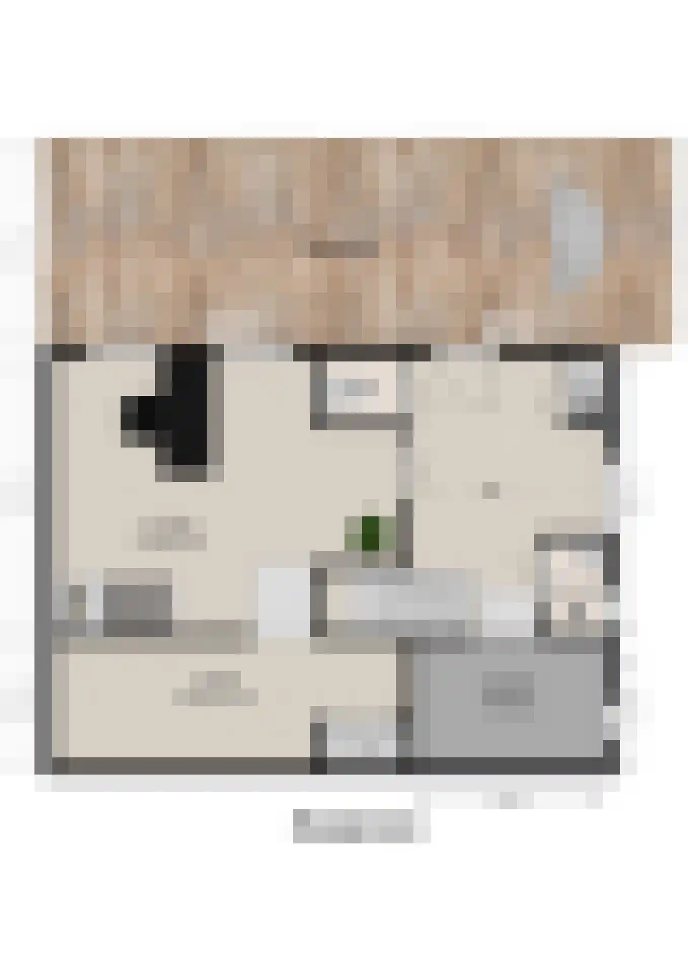 Nieuwe Veer 41 Streefkerk thumbnail 44