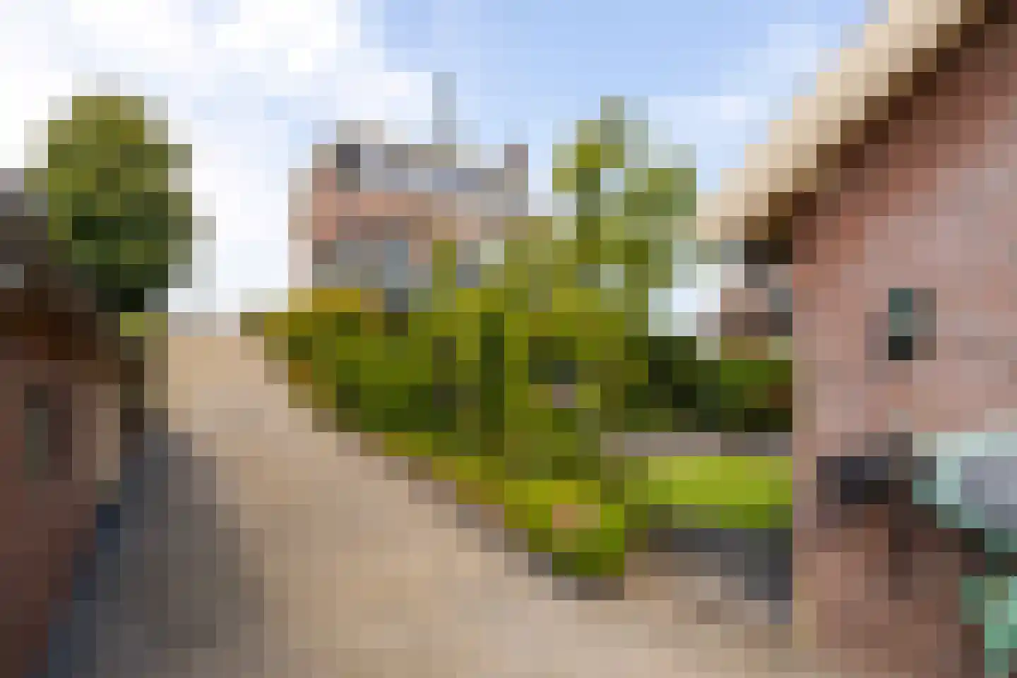 Nieuwe Veer 41 Streefkerk thumbnail 44