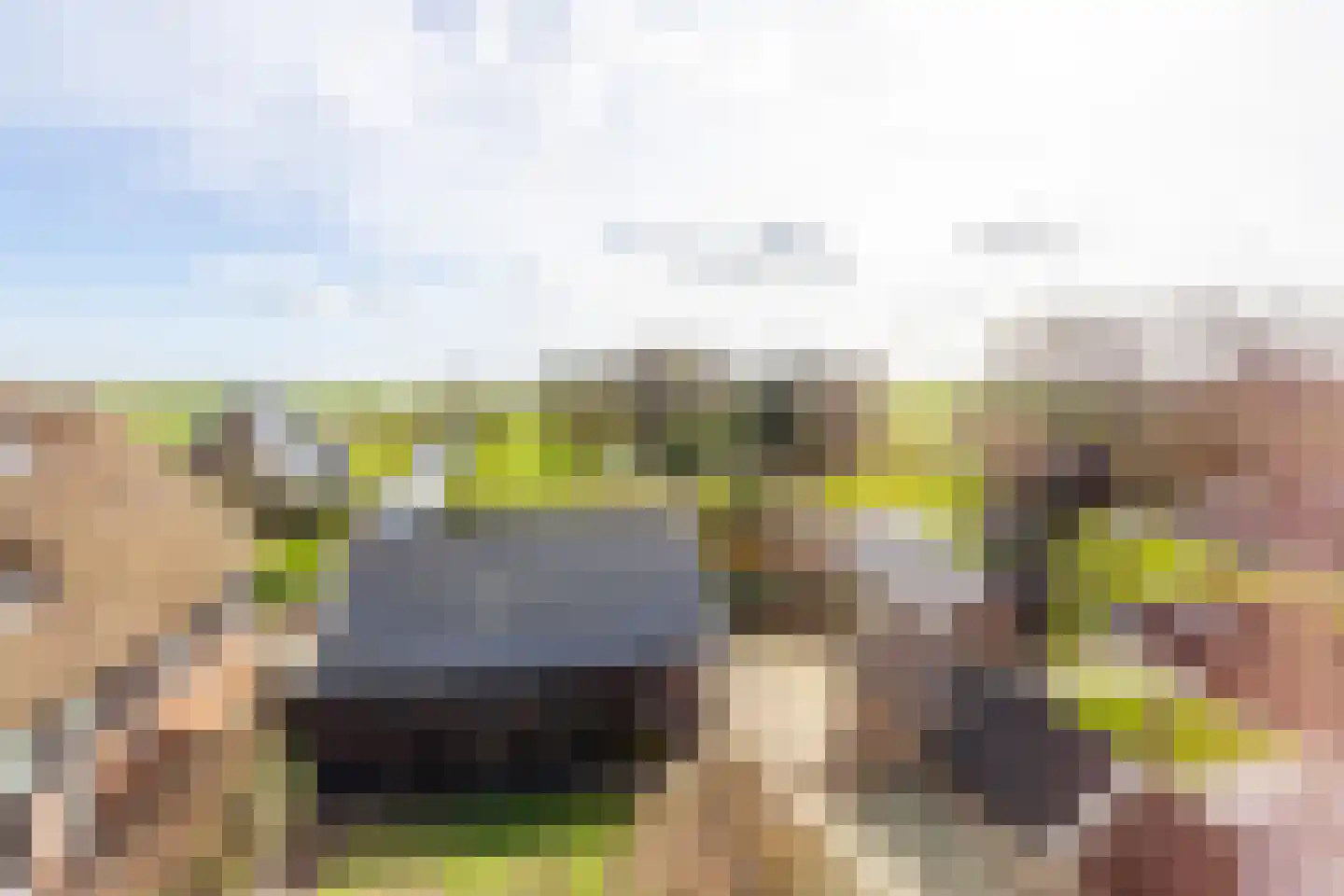Nieuwe Veer 41 Streefkerk thumbnail 6