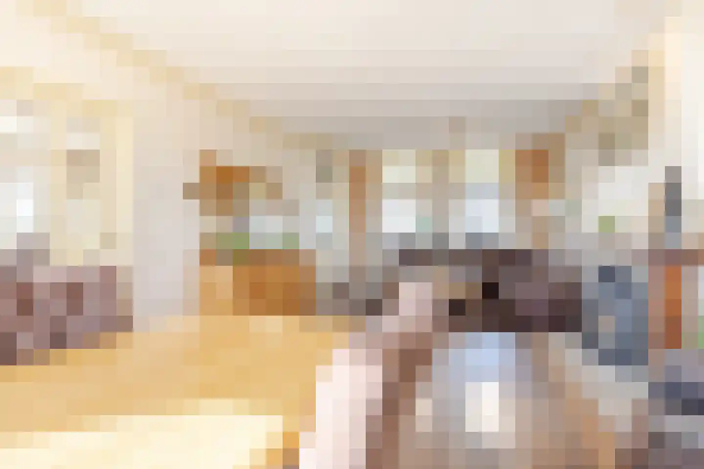 Nieuwe Veer 41 Streefkerk thumbnail 7