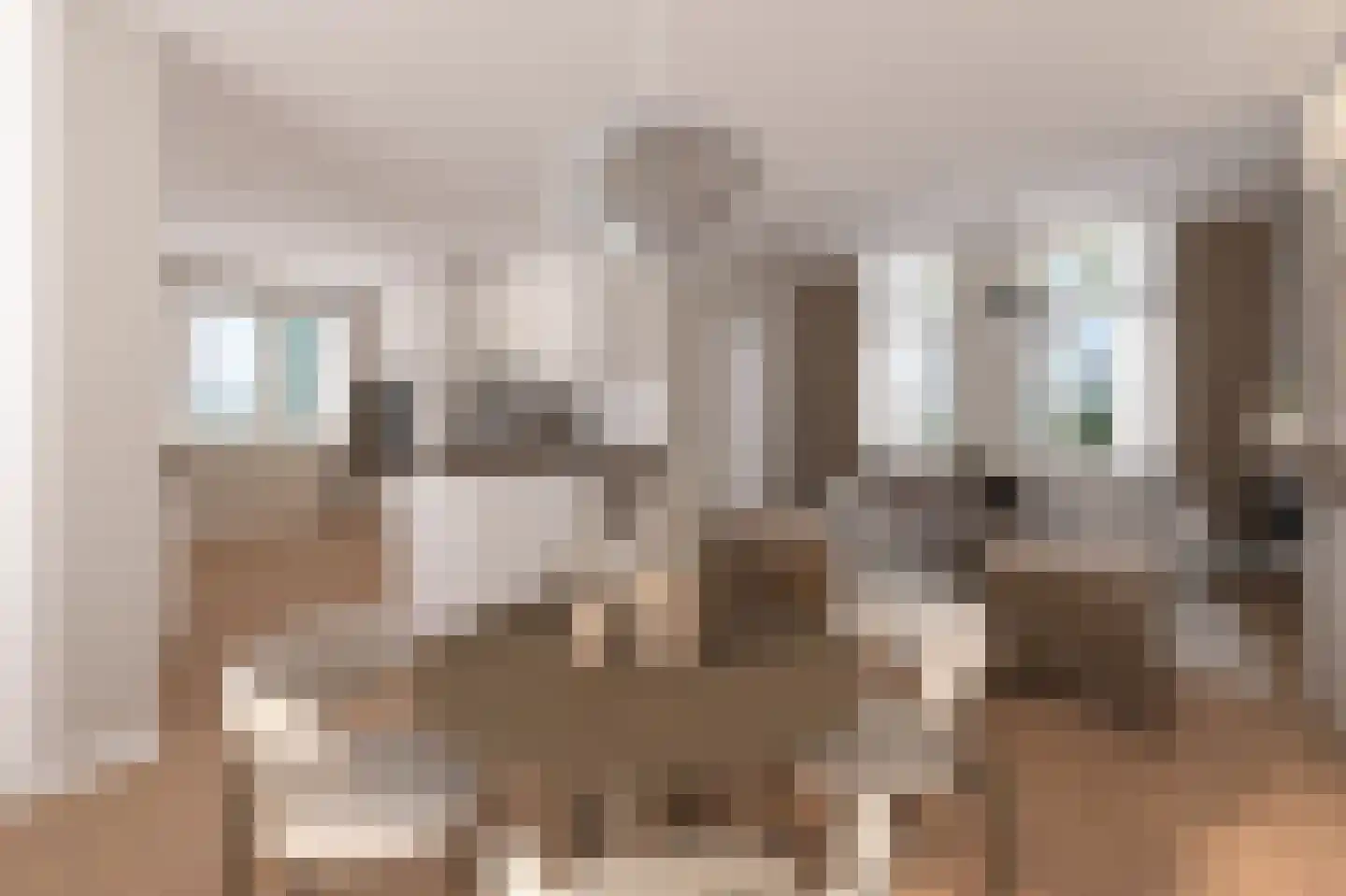 Nieuwe Veer 41 Streefkerk thumbnail 8