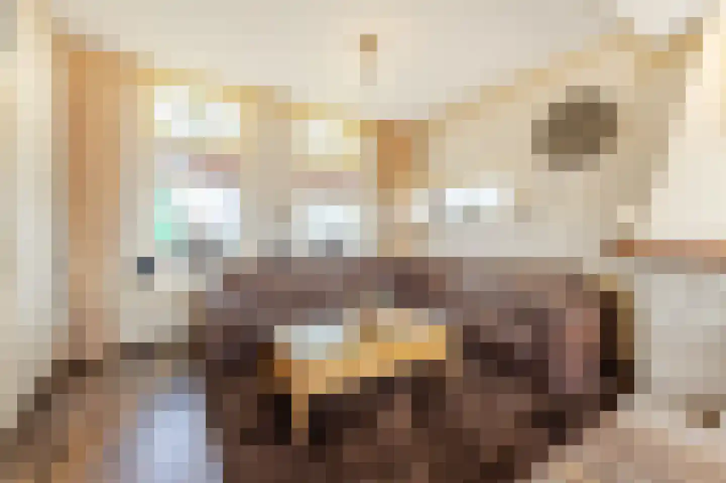 Nieuwe Veer 41 Streefkerk thumbnail 9