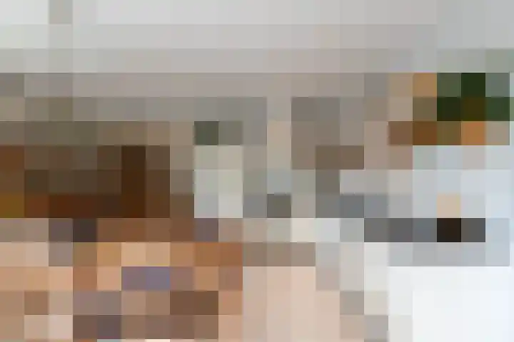 Nieuwe Veer 47 Streefkerk thumbnail 15