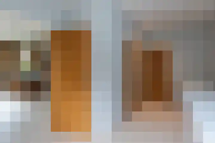 Nieuwe Veer 47 Streefkerk thumbnail 17