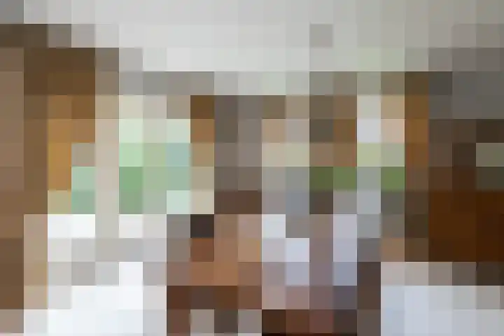 Nieuwe Veer 47 Streefkerk thumbnail 18