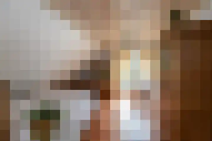 Nieuwe Veer 47 Streefkerk thumbnail 20