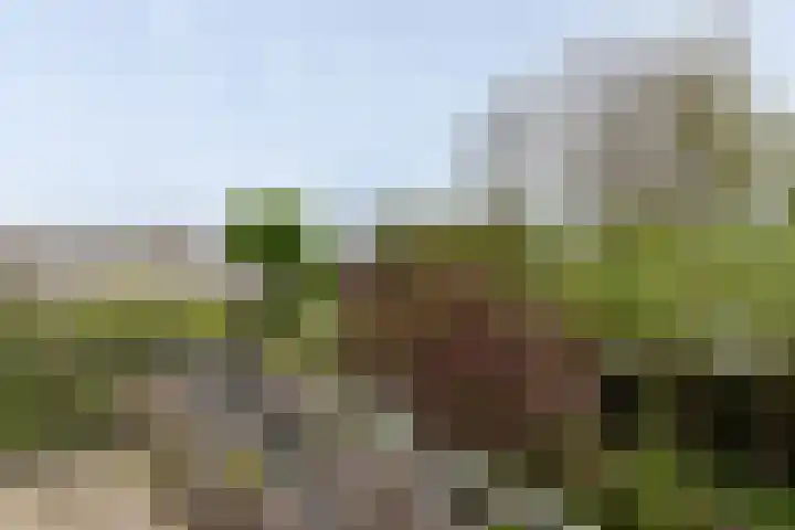 Nieuwe Veer 47 Streefkerk thumbnail 21
