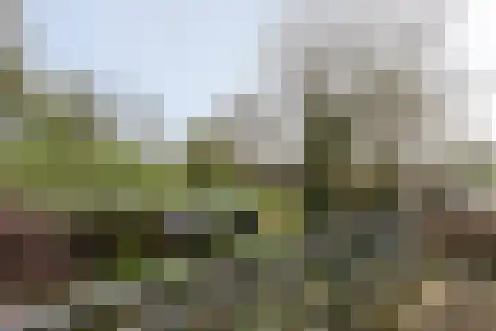 Nieuwe Veer 47 Streefkerk thumbnail 22