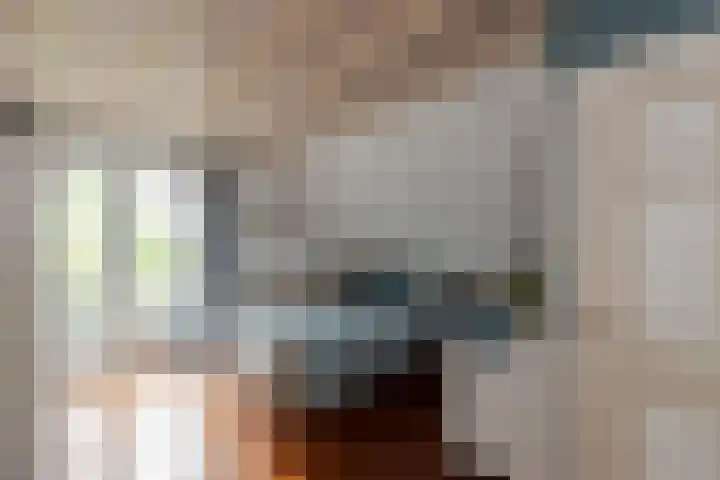 Nieuwe Veer 47 Streefkerk thumbnail 24